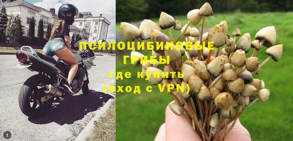 круглые Липки