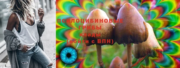 соль ск Лиски